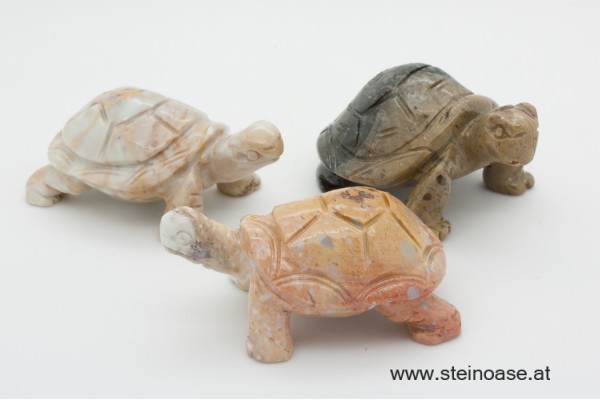 Schildkröte Speckstein Gr.M